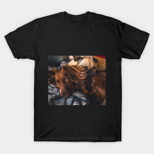 Two dogs cuddled up on blue blanket T-Shirt